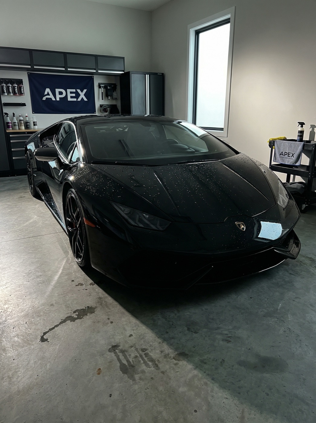 Freshly ceramic-coated black sports car with dramatic reflections